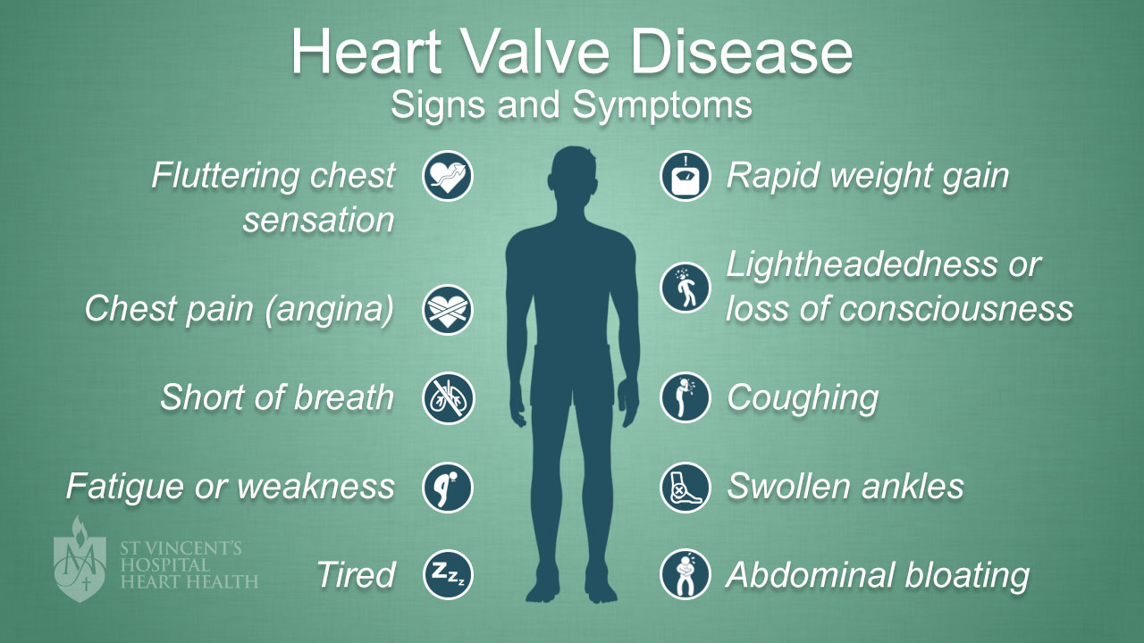 Heart Valve Disease St Vincent s Heart Health